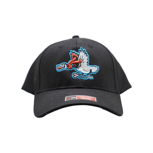 Beloit Sky Carp Bimm Ridder Black Twill Youth Home Hat