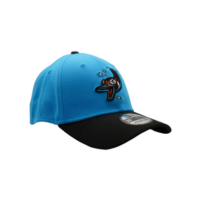 Beloit Sky Carp 39thirty Road Flex Fit New Era Hat
