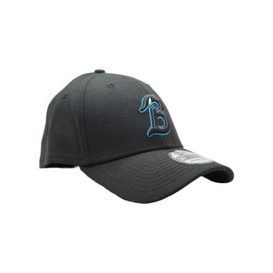Beloit Sky Carp 39thirty B Flex Fit New Era Hat