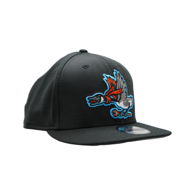 Beloit Sky Carp New Era 9Fifty Home Clubhouse Flat Bill Snapback Hat